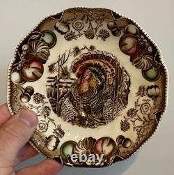 11 His Majesty Thanksgiving Plates & Saucer & Cup Dish Set Johnson Brothers