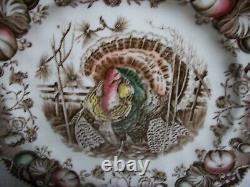 12 Vintage Johnson Bros His Majesty Turkey Square Plate 7.5 Made in England