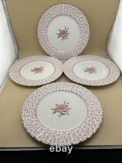 20 piece Johnson bros. Rose Bouquet Service for 4