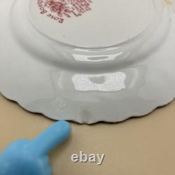 20 piece Johnson bros. Rose Bouquet Service for 4