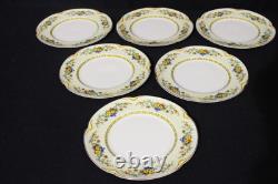22pc Vintage Johnson Bros Brothers ACTON Pareek Plates, Cup, Saucer Set, England