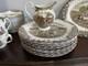 36 Pc Heritage Hall Johnson Brothers England Ironstone Dinner Set Cream Brown