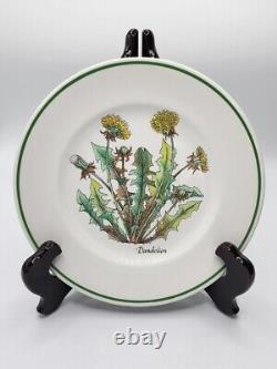 (4) Vintage Desert Plates by Tiffany'Wild Flowers' by Johnson Bros. England