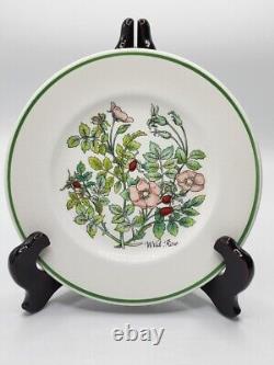 (4) Vintage Desert Plates by Tiffany'Wild Flowers' by Johnson Bros. England