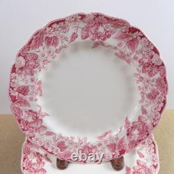 6 Johnson Brothers Strawberry Fair 10 Dinner Plates Pink Red England VGC