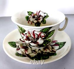 6 Sets CAMELLIA Johnson Bros. 6 Pieces/Set 36 Total Pieces