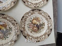 (7) Johnson Bros Harvest Salad Plates 8