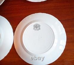 9 Antique Ironstone Dinner Plate Set Johnson Brothers England Embossed Scroll