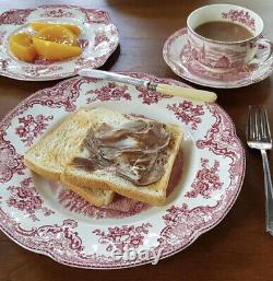 Antique Johnson Brothers Pink Old Britain Castles Dinner Plates set of 2