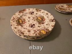 Autumn Bliss Johnson Bros Vintage Fruit Pattern Dinnerware Set