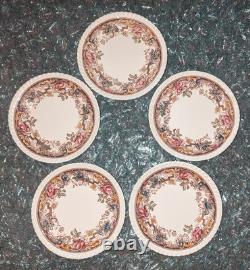 DEVONSHIRE Johnson Brothers England 17pc Vintage China