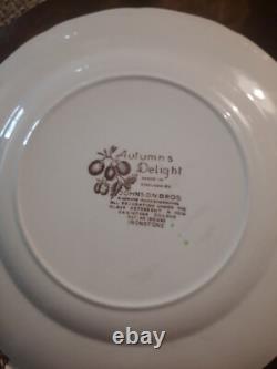 Johnson Bros. Autumn's Delight