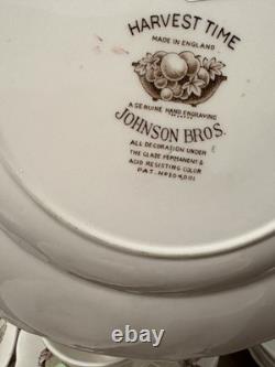 Johnson Bros. England 1940's Harvest Time Fruit Pattern Dinner Plate-Set of 26