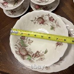 Johnson Bros. England 1940's Harvest Time Fruit Pattern Dinner Plate-Set of 26