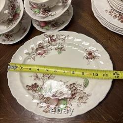 Johnson Bros. England 1940's Harvest Time Fruit Pattern Dinner Plate-Set of 26