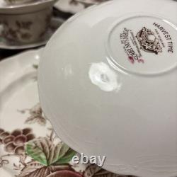 Johnson Bros. England 1940's Harvest Time Fruit Pattern Dinner Plate-Set of 26