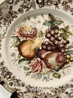 Johnson Bros, England Plate, Windsor Ware, 10.5 Inches