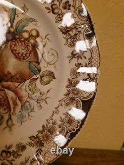 Johnson Bros, England Plate, Windsor Ware, 10.5 Inches, Great Condition