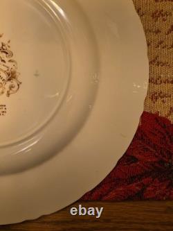 Johnson Bros, England Plate, Windsor Ware, 10.5 Inches, Great Condition