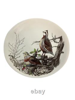 Johnson Bros Game Bird Oval Dinner Plates Set Of 17 Assorted Birds
