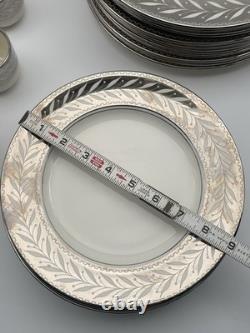 Johnson Bros Pareek Rockwell Silver Luster Set 12 Dinner 8 Salad 12 Demitasse