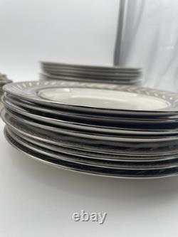 Johnson Bros Pareek Rockwell Silver Luster Set 12 Dinner 8 Salad 12 Demitasse
