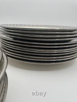 Johnson Bros Pareek Rockwell Silver Luster Set 12 Dinner 8 Salad 12 Demitasse