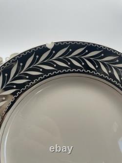 Johnson Bros Pareek Rockwell Silver Luster Set 12 Dinner 8 Salad 12 Demitasse