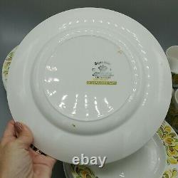 Johnson Bros Sun Valley Ironstone England Dinner Plates cups set Snowhite yellow