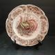 Johnson Bros Wild Turkey Native American Windsor Ware 8 Salad Plate