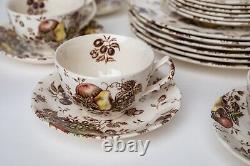 Johnson Brothers Autumn's Delight Transferware Service for 6, 25 Pieces