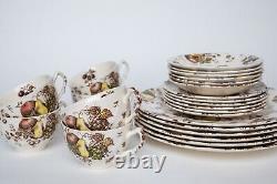 Johnson Brothers Autumn's Delight Transferware Service for 6, 25 Pieces