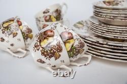 Johnson Brothers Autumn's Delight Transferware Service for 6, 25 Pieces
