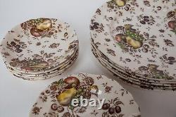 Johnson Brothers Autumn's Delight Transferware Service for 6, 25 Pieces