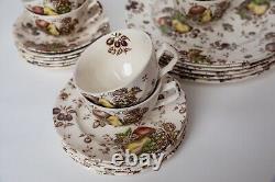 Johnson Brothers Autumn's Delight Transferware Service for 6, 25 Pieces