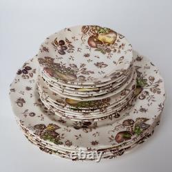 Johnson Brothers Autumn's Delight Transferware Service for 6, 25 Pieces