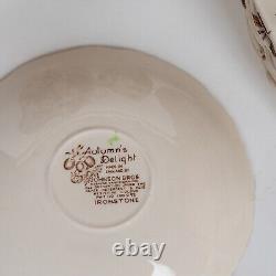 Johnson Brothers Autumn's Delight Transferware Service for 6, 25 Pieces