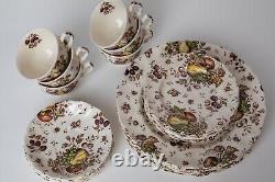 Johnson Brothers Autumn's Delight Transferware Service for 6, 25 Pieces