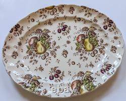 Johnson Brothers Autumn's Delight Transferware Service for 6, 25 Pieces