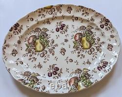 Johnson Brothers Autumn's Delight Transferware Service for 6, 25 Pieces