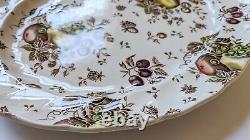 Johnson Brothers Autumn's Delight Transferware Service for 6, 25 Pieces