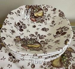 Johnson Brothers Autumn's Delight Transferware Service for 6 (33 pieces)