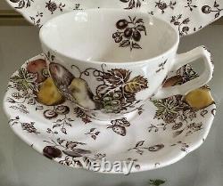 Johnson Brothers Autumn's Delight Transferware Service for 6 (33 pieces)