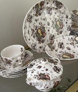 Johnson Brothers Autumn's Delight Transferware Service for 6 (33 pieces)