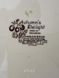 Johnson Brothers Autumn's Delight Transferware Service for 6 (33 pieces)