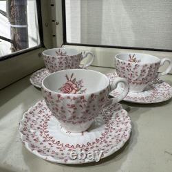 Johnson Brothers Bros Rose Bouquet Cup Saucer From Japan