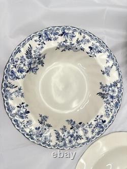 Johnson Brothers Devon Cottage Pasta Bowls Set of 10 Blue White Floral 8.75