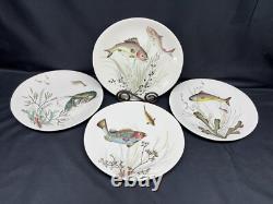 Johnson Brothers FISH (Cream) England Set of 4 Designs Oval Dinner Plates