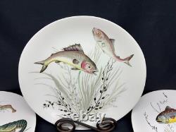 Johnson Brothers FISH (Cream) England Set of 4 Designs Oval Dinner Plates
