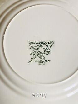 Johnson Brothers Peach Bloom 16 Pc Dinner Plates Cups Saucers Bowls EUC